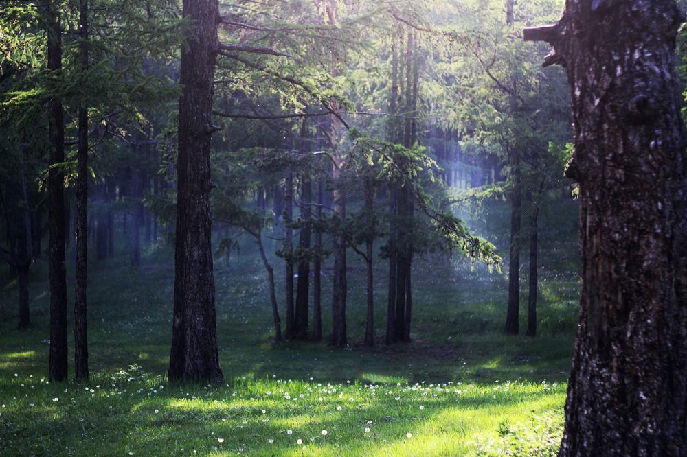 Photograph by Анна Киселёва