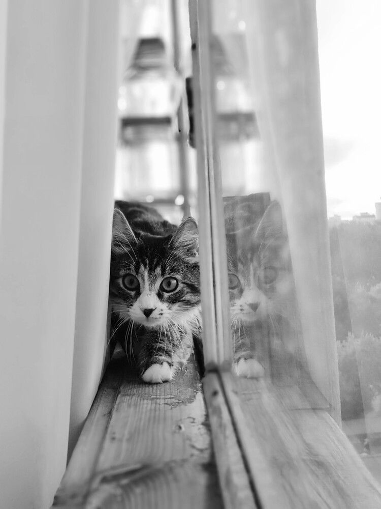 Photograph by Инесса Васильева