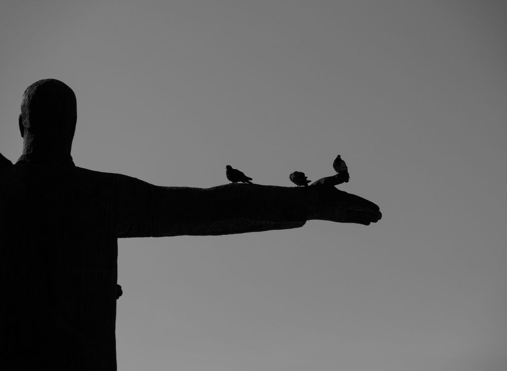 Photograph by Алексей Хасанов