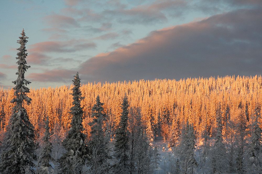 Закатное солнце