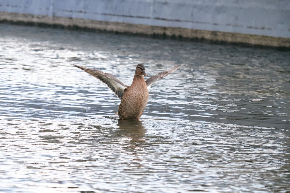 Photograph by Алексей Хасанов