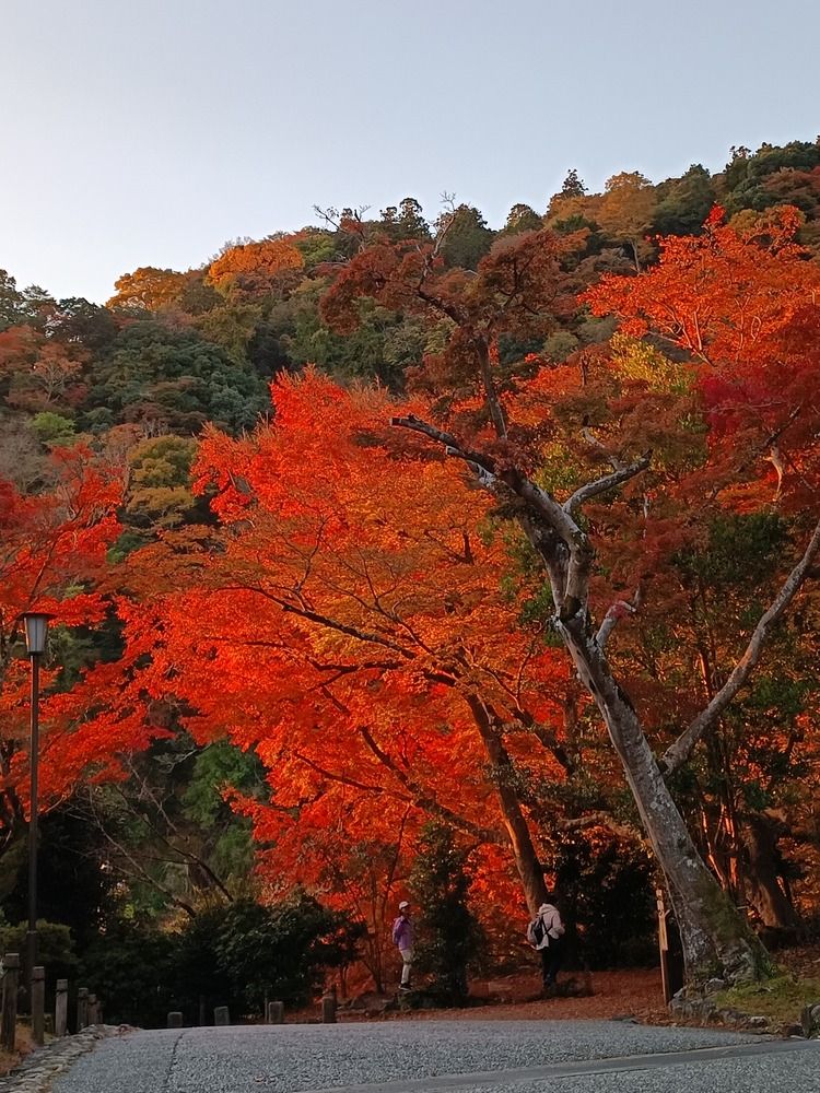 Photograph by Fabrizio Perra