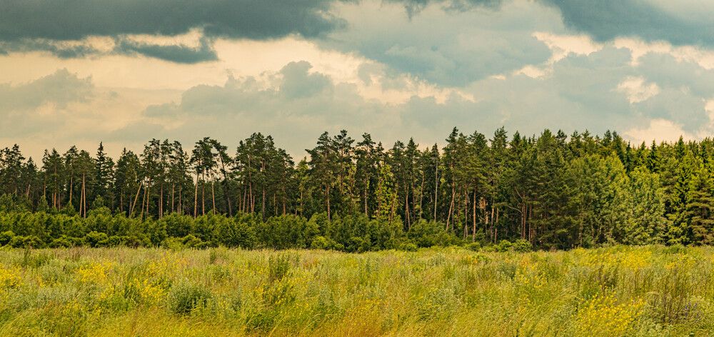 Фотография автора Екатерина Счасная