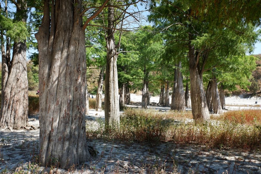 Photograph by Зорин Миша