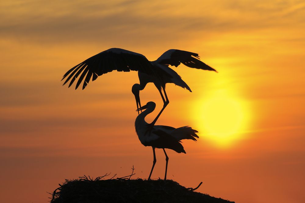 Photograph by Inga Ivanova