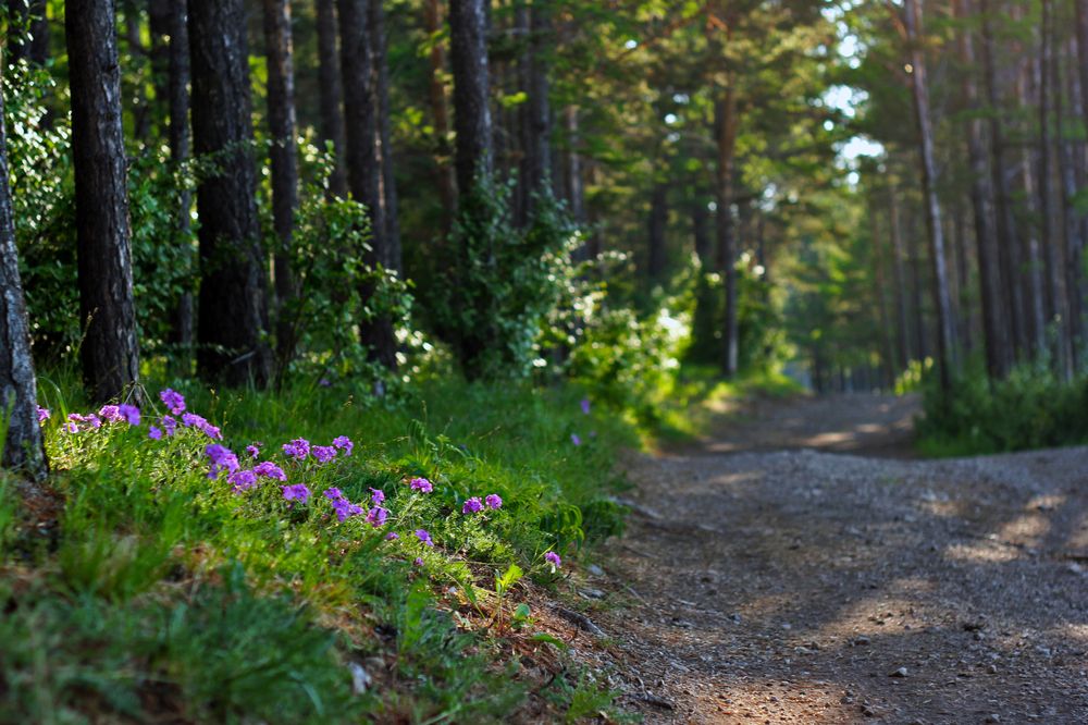 Photograph by Анна Киселёва