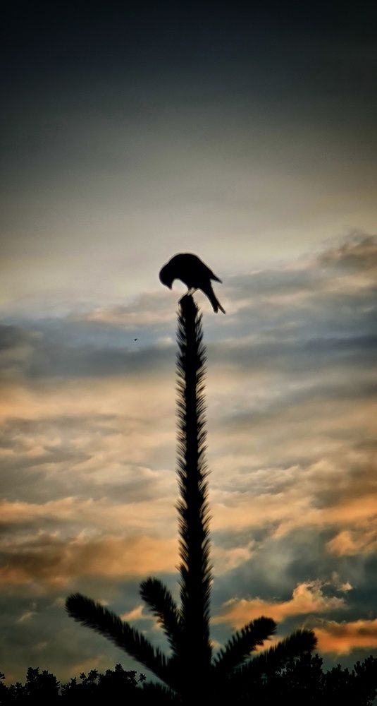 Photograph by Elena Smirnova