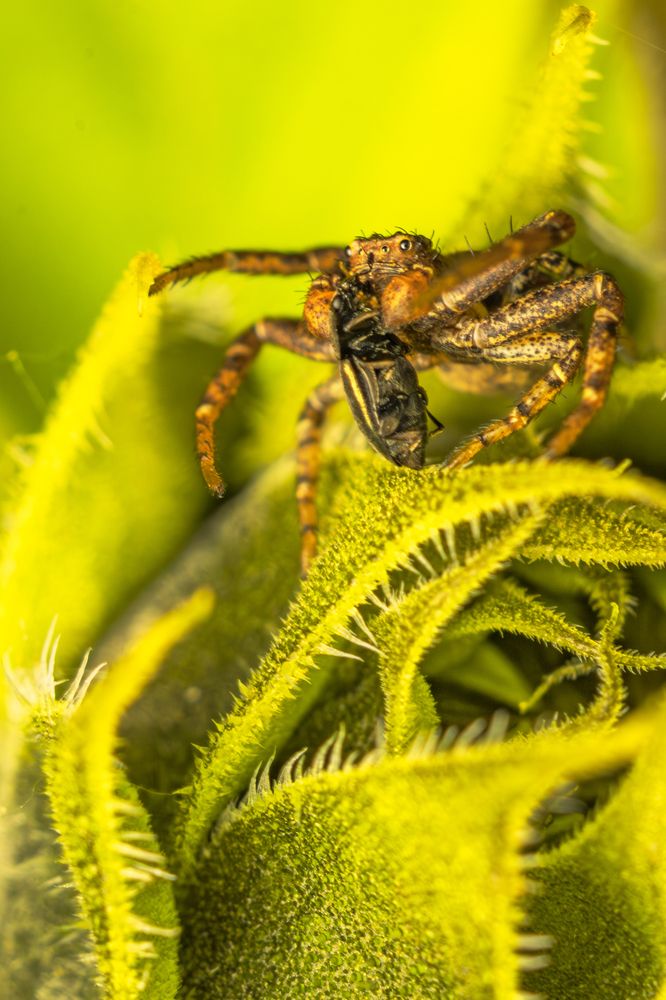 Photograph by Андрей Шабанов