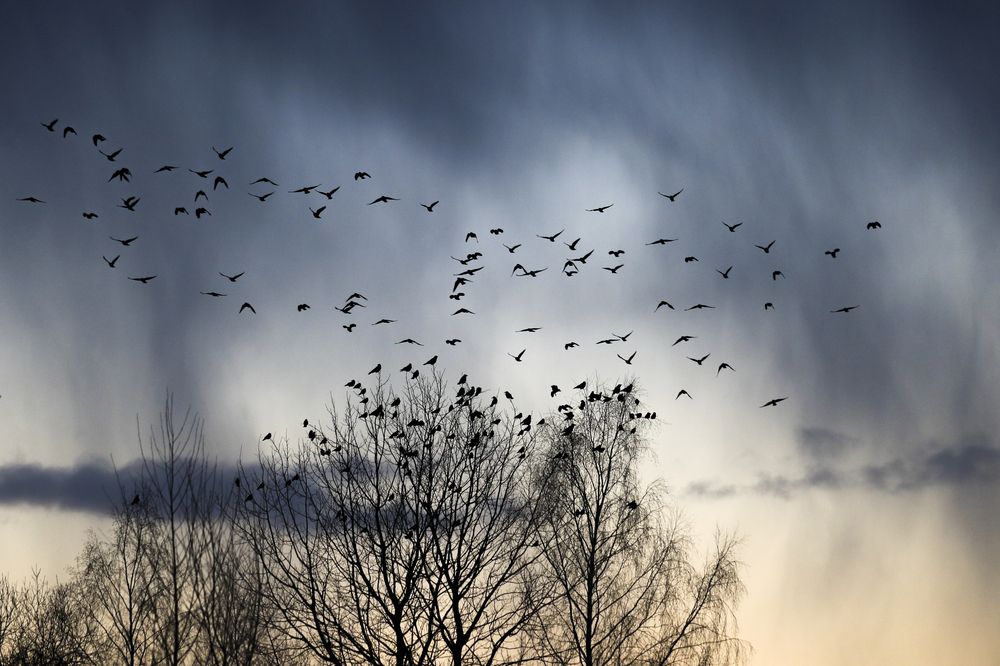 Фотография автора Inga Ivanova