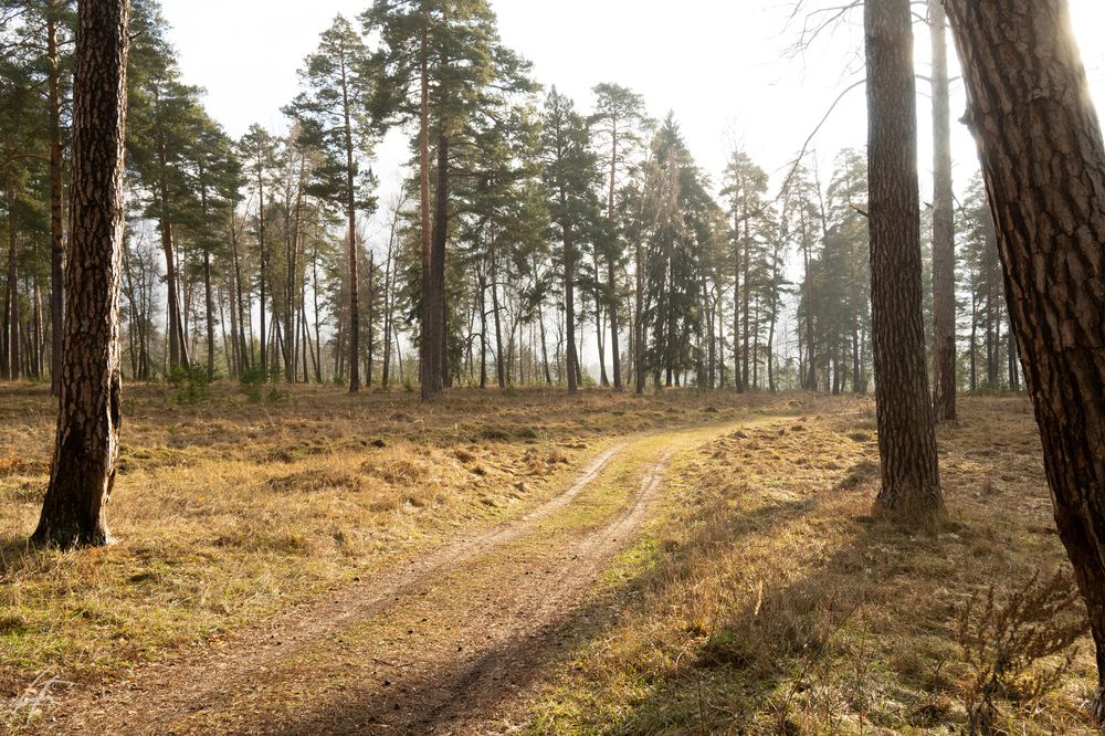 Photograph by Елизавета Фирстова