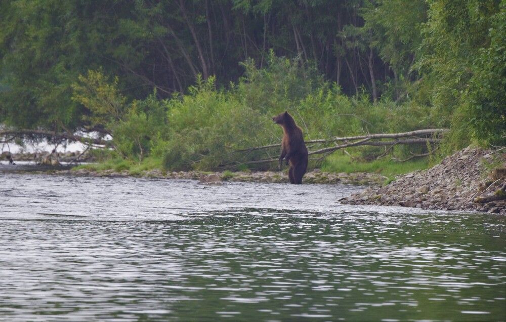 Photograph by Александр Завьялов