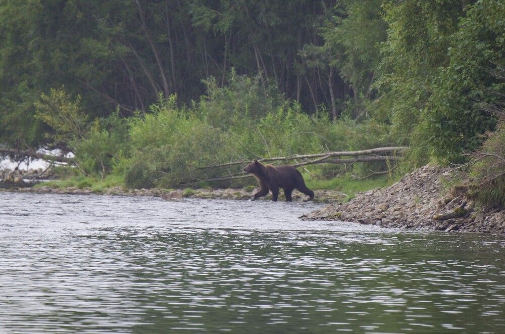 Photograph by Александр Завьялов
