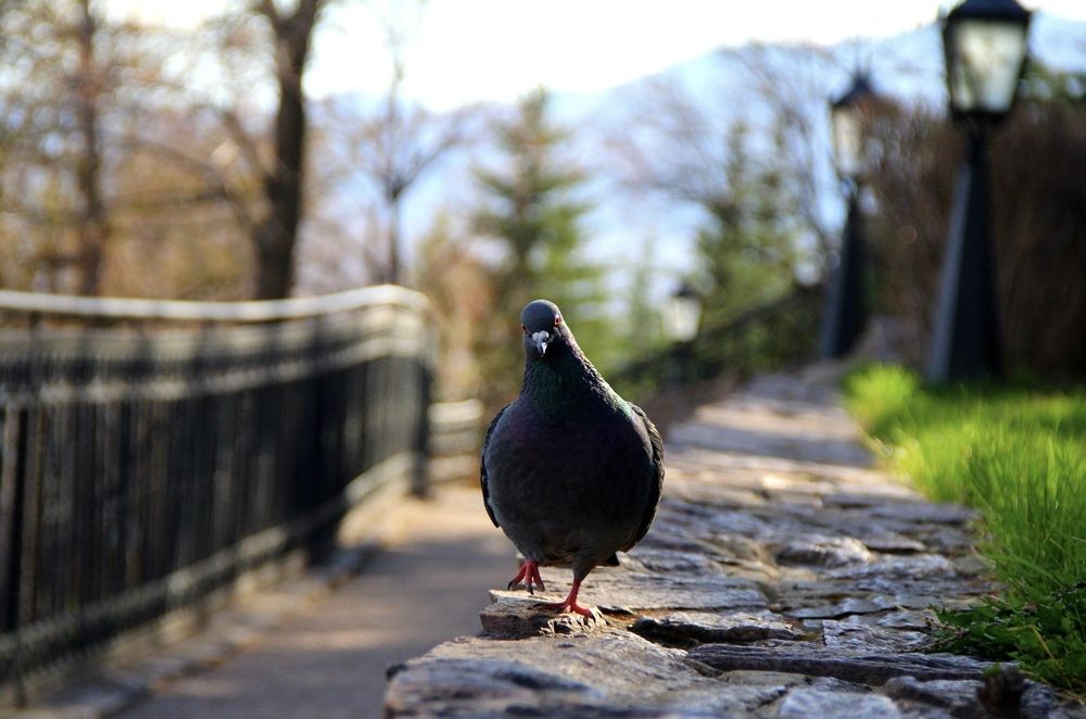 Photograph by Эльза Крюкова