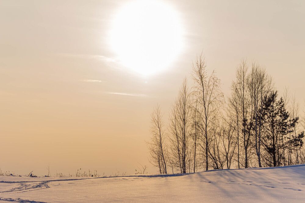 Photograph by Ольга Ильина