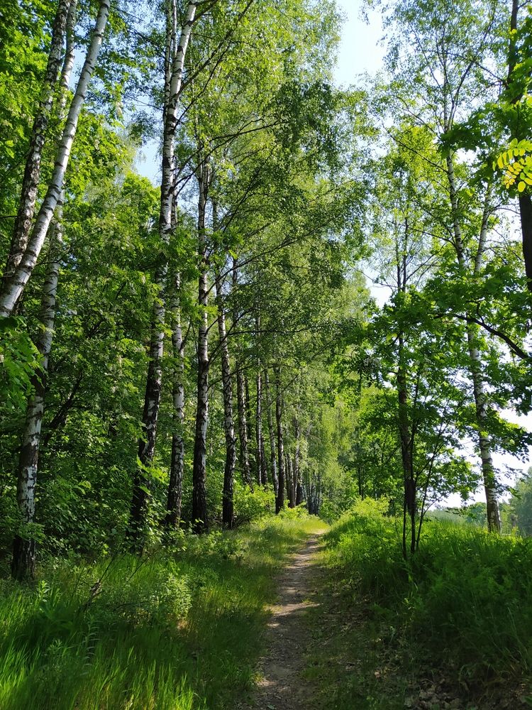 Photograph by Maryna Kukhtsikava