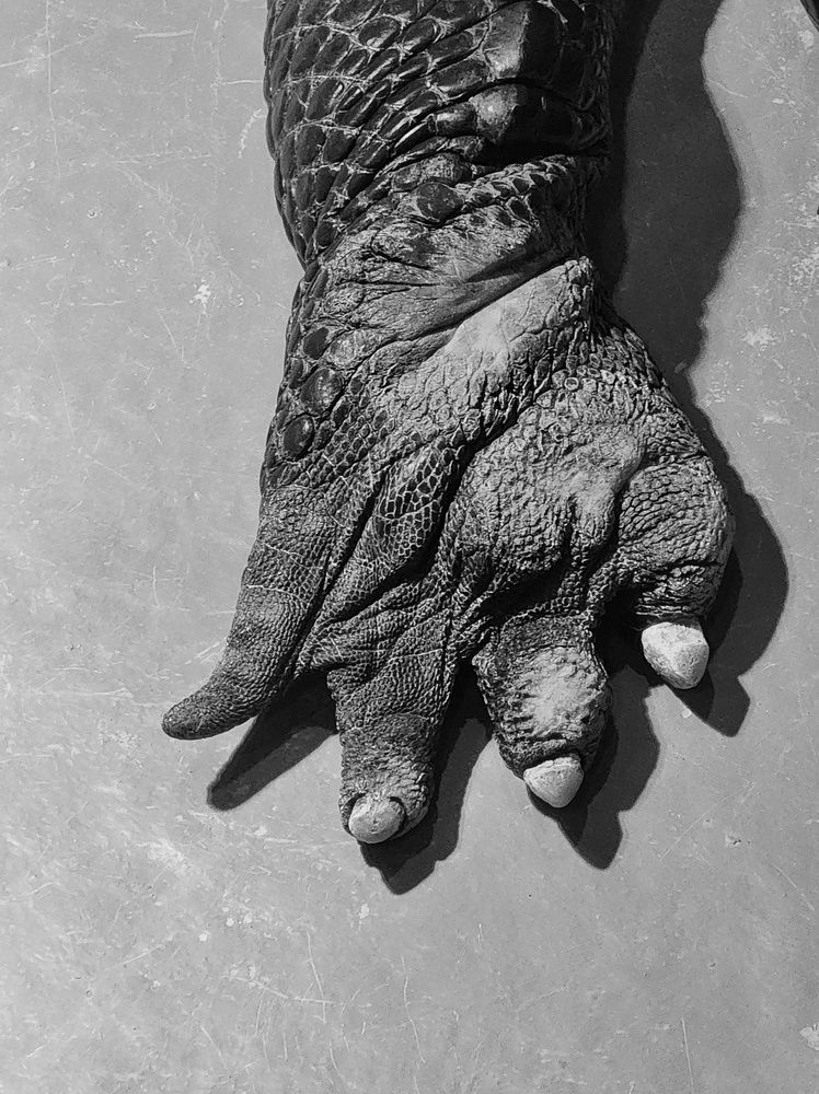 Photograph by Lera Mingova