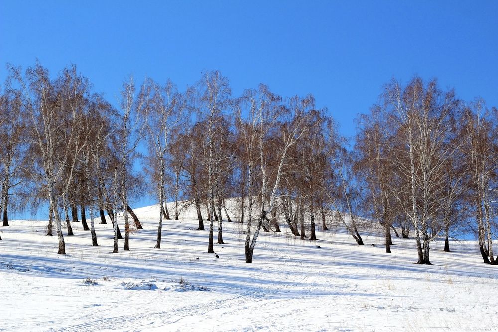 Photograph by Эльза Крюкова