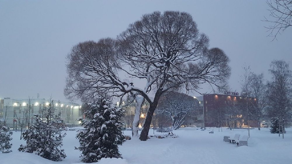 Зимнее танго в сквере
