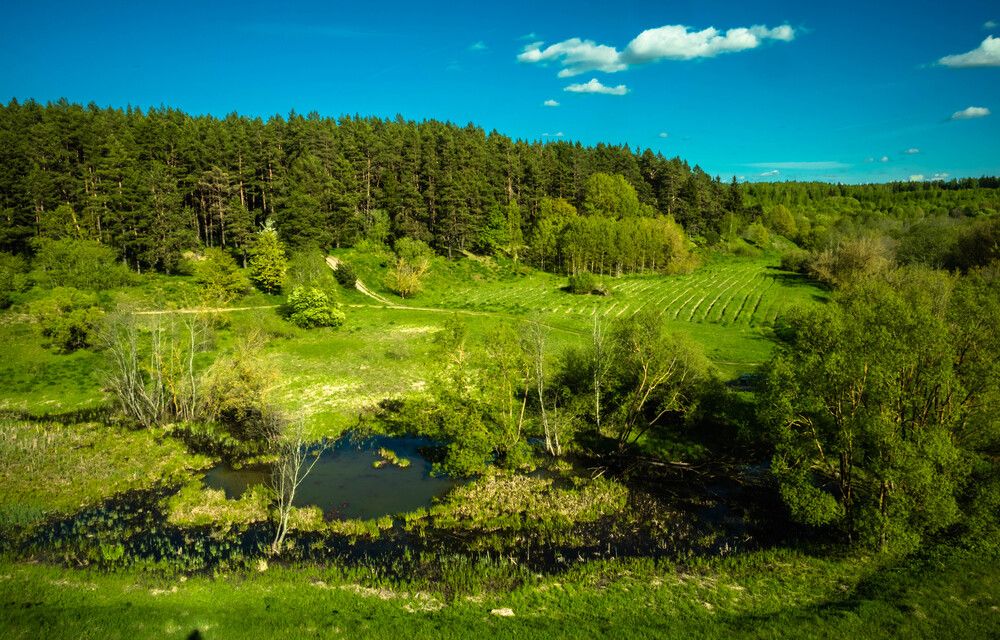 Фотография автора Екатерина Счасная