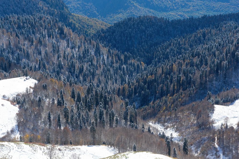 Photograph by Игорь Семеновский