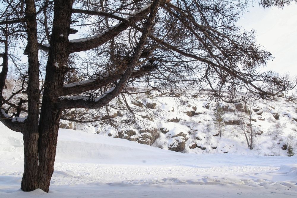 Photograph by Эльза Крюкова