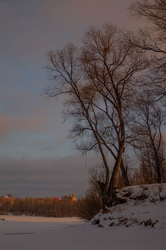 Photograph by Ольга Ильина