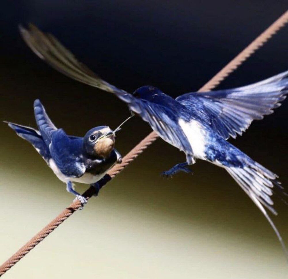 Photograph by Татьяна Полоцкая