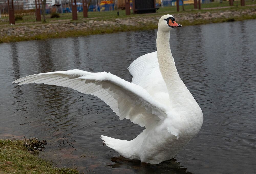 Фотография автора Екатерина Счасная