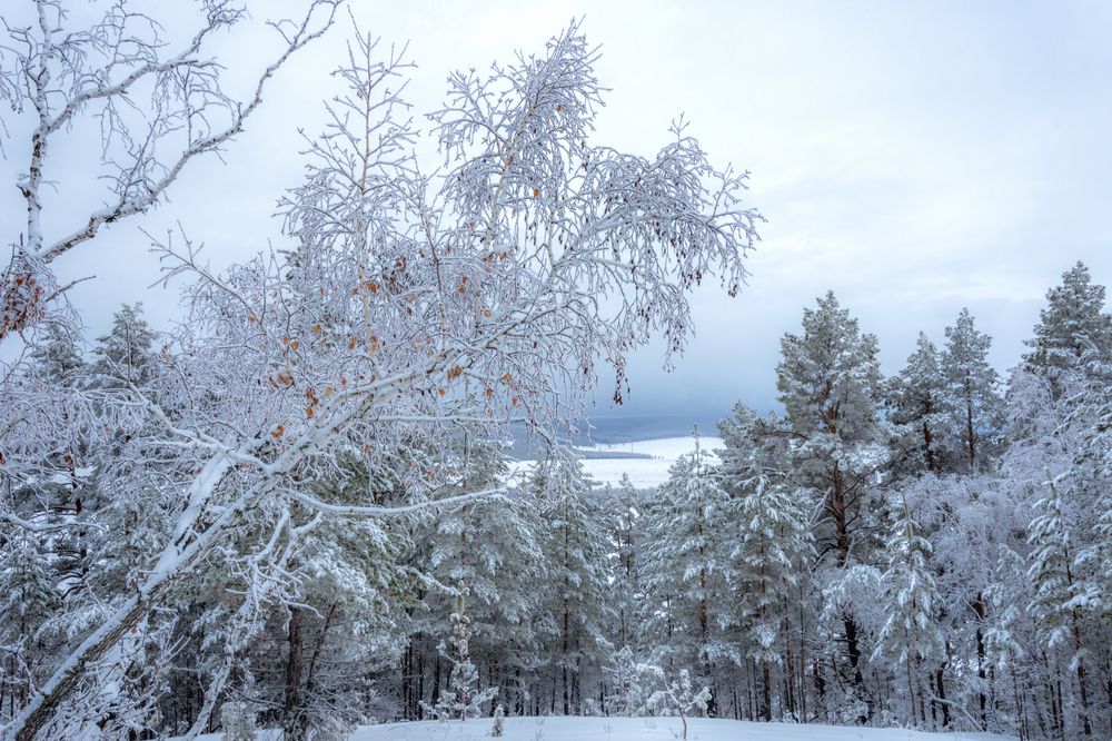 Фотография автора Наталья Димова