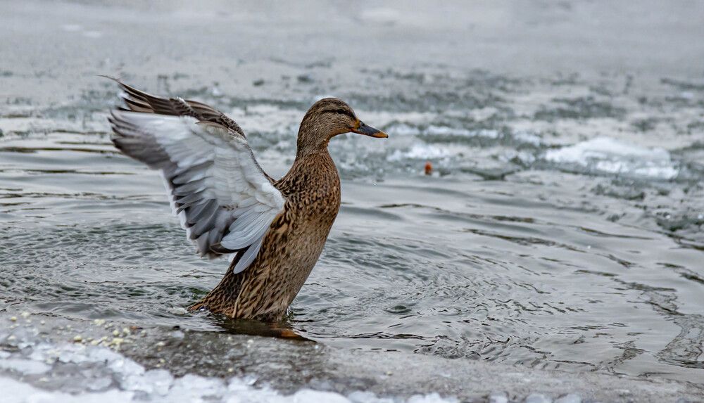 Фотография автора Екатерина Счасная