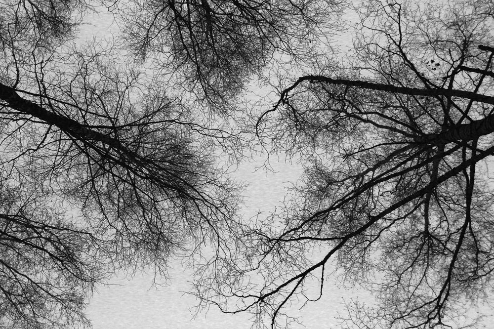 Photograph by Екатерина