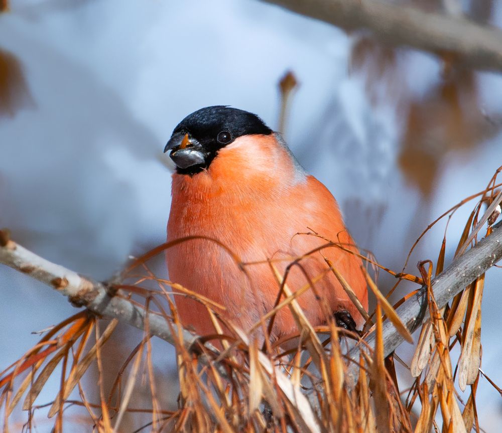 Фотография автора Екатерина Счасная