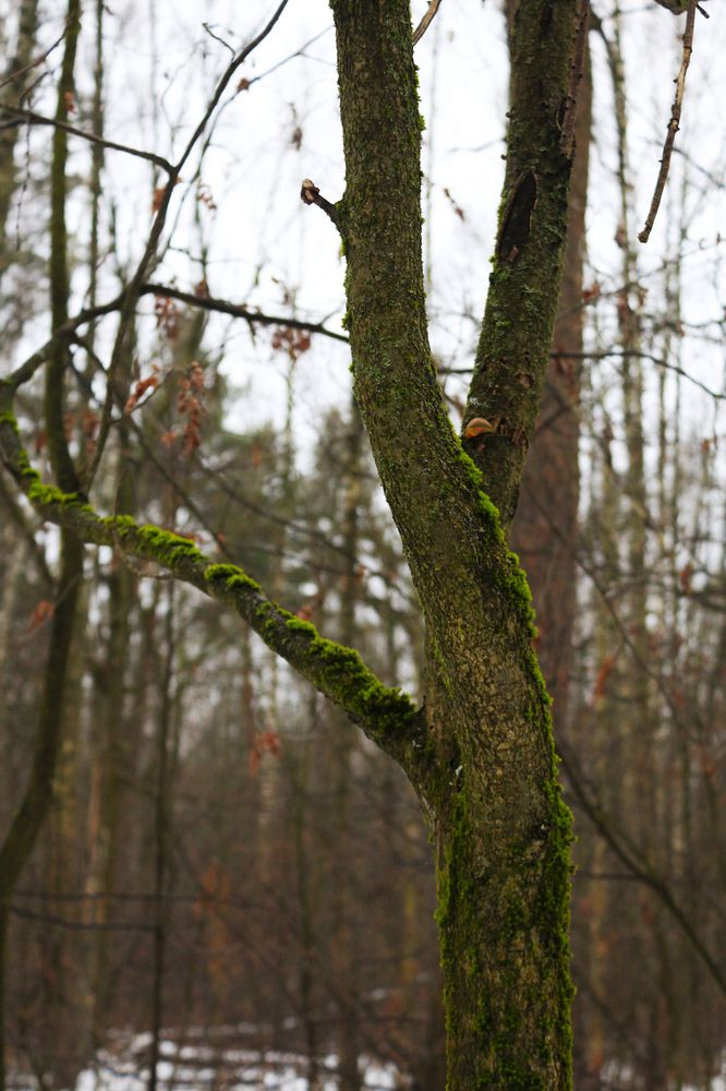 Photograph by Екатерина