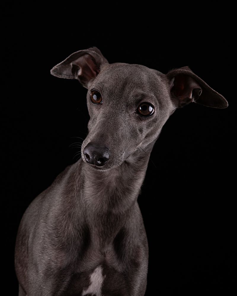 Photograph by Evgeniya Stafeeva