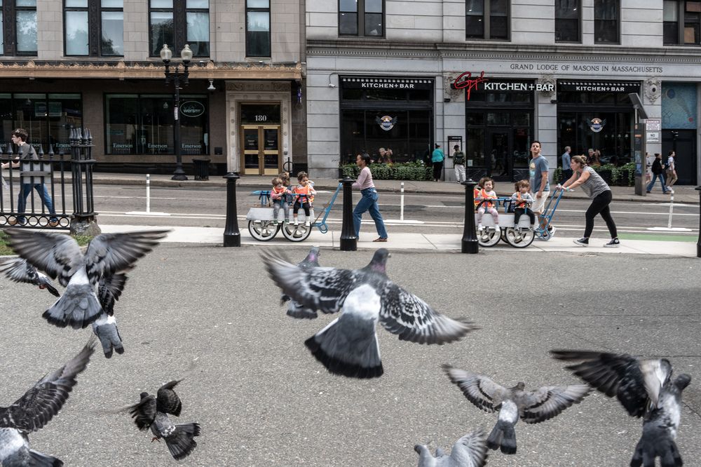 Photograph by  Dimitar