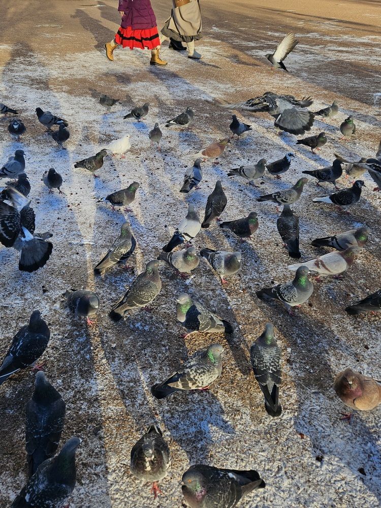 Photograph by Любовь Ершова