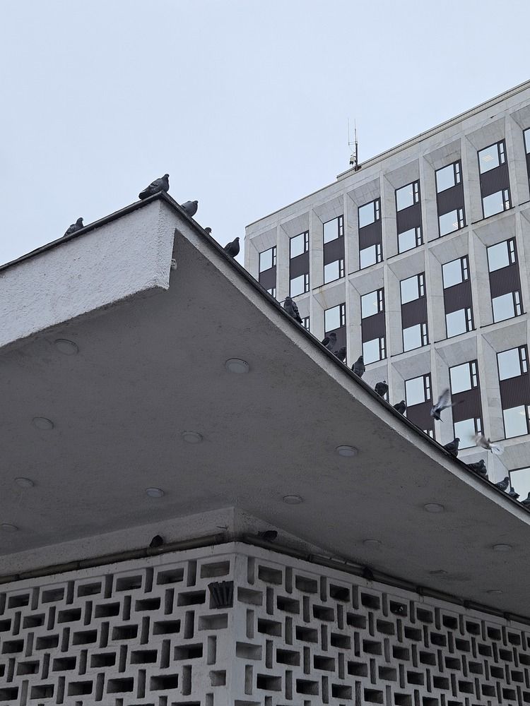 Photograph by Любовь Ершова