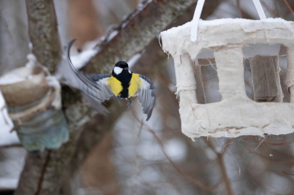 Photograph by Антон Скоморохов