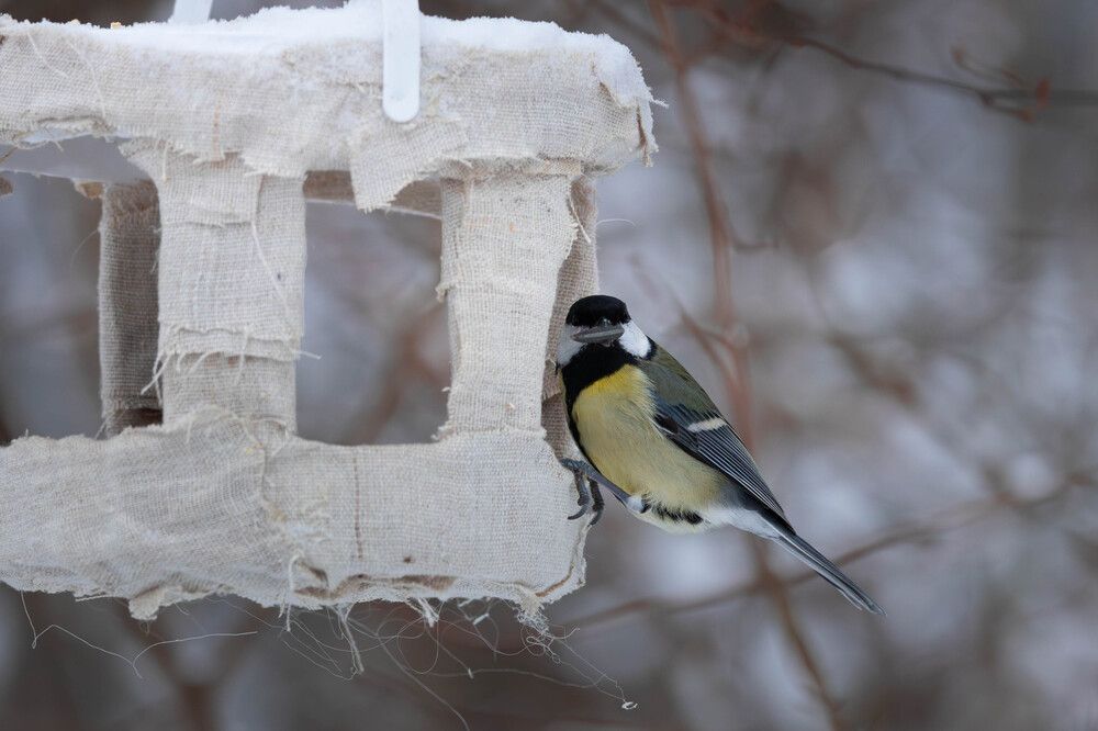 Photograph by Антон Скоморохов