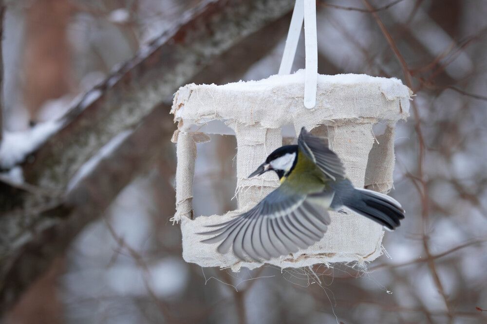 Photograph by Антон Скоморохов