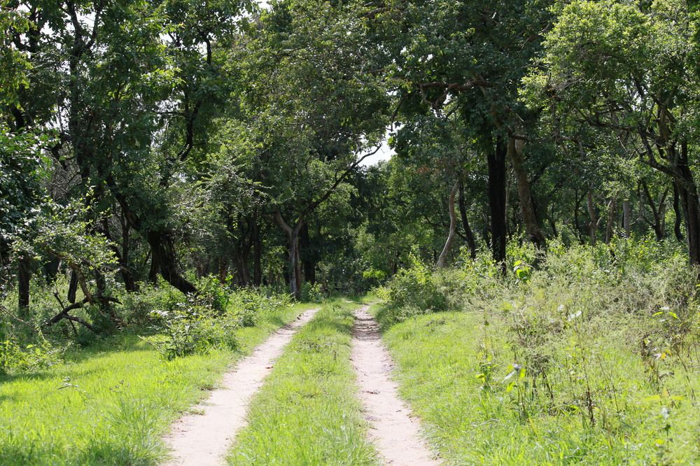 Photograph by Pradyumna K P