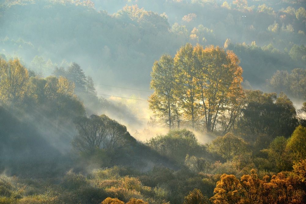 Уходящий туман