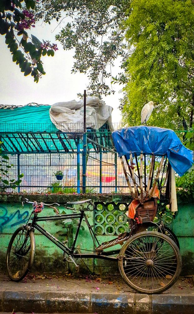 Photograph by Nirup Datta