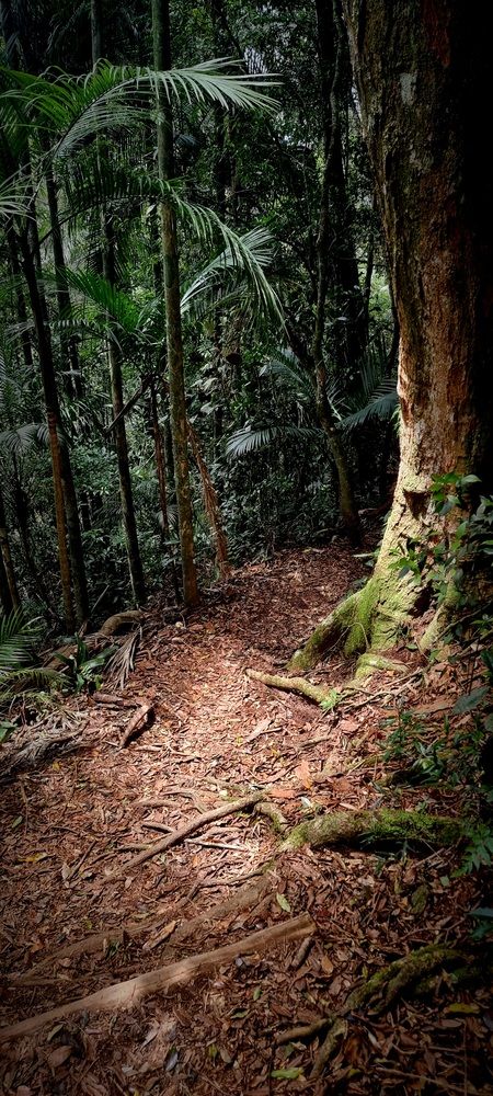 Photograph by Gr Marie