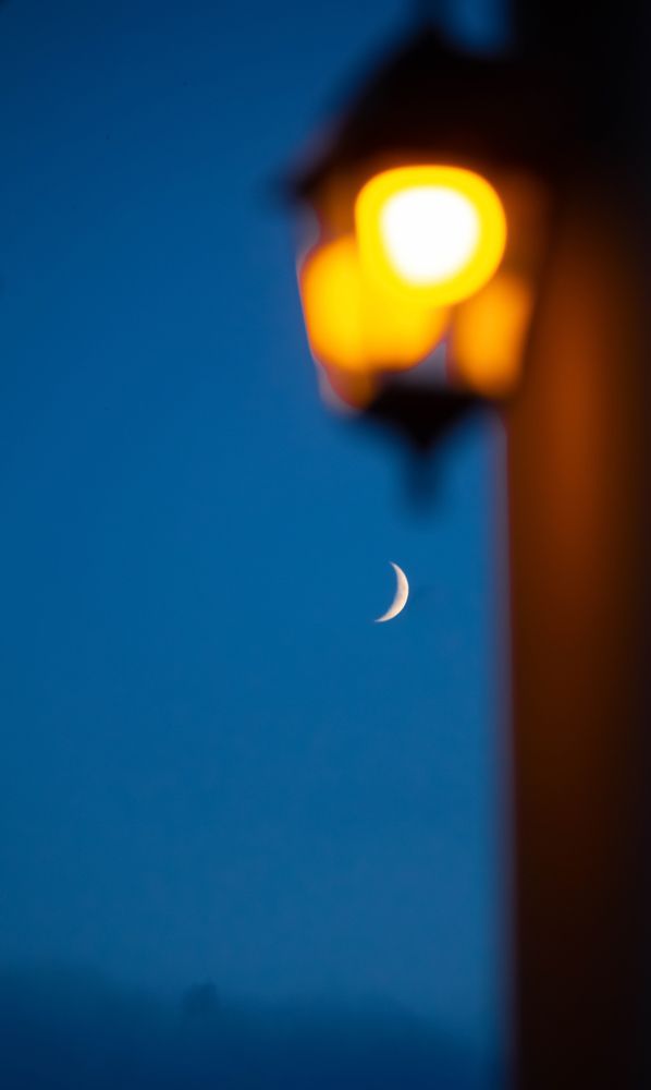 Photograph by Ольга Ильина