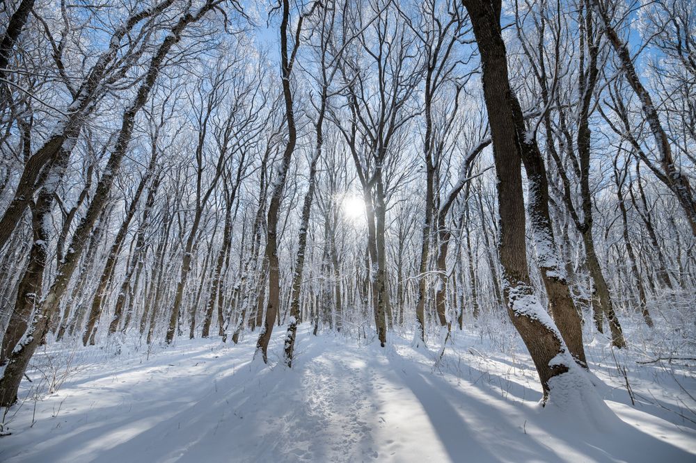 Photograph by Антон Скоморохов