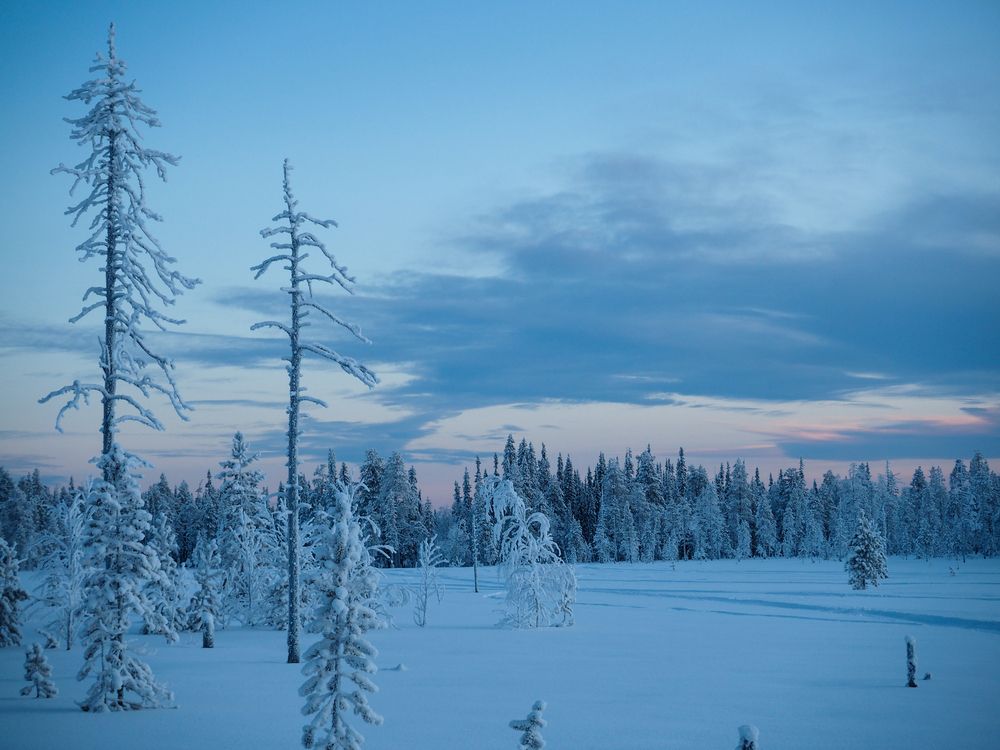 Photograph by Сергей Гаврилов