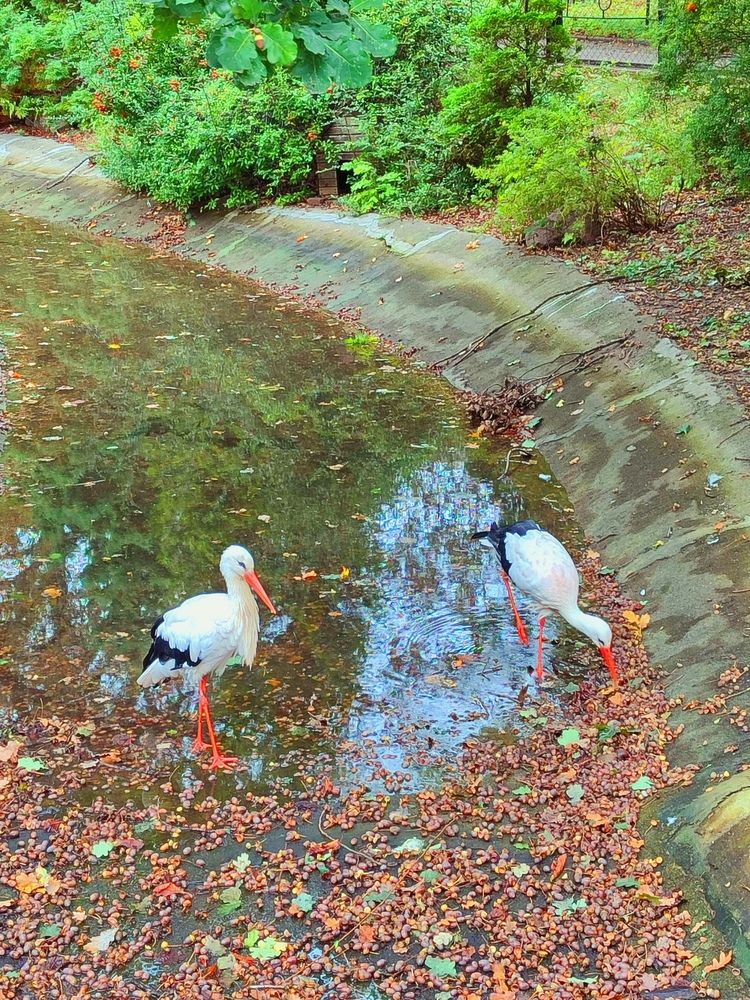 Photograph by Елена Затевалова