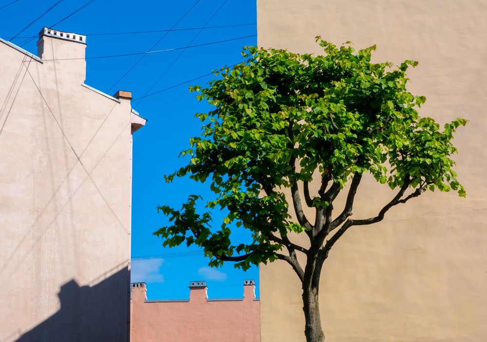 Фотография автора Маргарита Гиршфельд