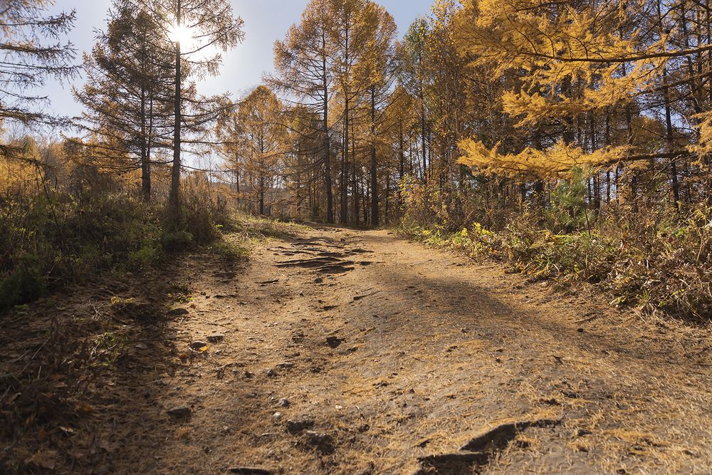 Photograph by Наталья Дроздова